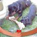 David Hamard - Facebook