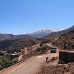 David Hamer - @tiger.touring - Instagram