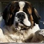 David Hamer - @hamer.david - Instagram