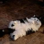 David Hamill - @mfd1720 - Instagram