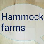 katie, carolyn, david hammock - @hammockfarm - Instagram