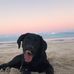 David Hampson - Facebook