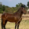 davidhana9496 - @davidhana9496 - TikTok