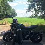 David Handelman - @d.a.handelman - Instagram