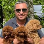 David handy - @david_handy_36 - Instagram