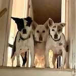 David Hanf - @david.hanf - Instagram