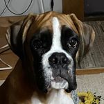 David Hannum - @davidhannum - Instagram