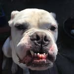 David Harber - @david_harber - Instagram