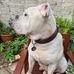 David Harber - Facebook