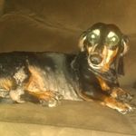 David Harbin - @david.harbin.315 - Instagram