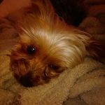 David Harbin - @david.harbin.792 - Instagram