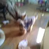 David Harbin - @david.harbin7 - TikTok