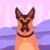 coyote - @davidhargett6 - TikTok