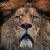 David Hargraves - Facebook