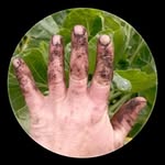 david hargraves - @derty_fingernails - Instagram