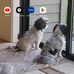 David Haring - Facebook