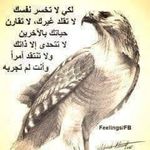 David Haring - @david.haring.9638 - Instagram