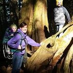 David Harkleroad - @davidharkleroad - Instagram