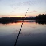 David Harling - @harling219 - Instagram