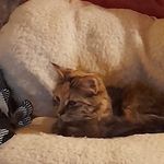 David Harries - @harries607 - Instagram