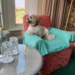 David Harrop - @harrop281 - Instagram