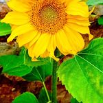 David Harrop-Griffiths - @harropgriffithsd - Instagram