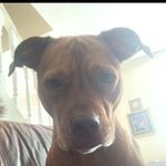 David Hartz - @lil_dnigga05 - Instagram