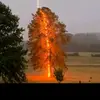 David Hartz - @davidhartz78 - TikTok