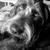 David Hartz - @david.hartz1 - TikTok