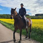 David Hassel - @david.hassel81 - Instagram