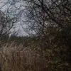 David Hassel - @david.hassel6 - TikTok
