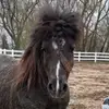 David Hasselhoof - @davidhasselhoof - TikTok