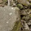 David Haun - @david.haun4 - TikTok