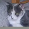 davidhaun155 - @davidhaun155 - TikTok