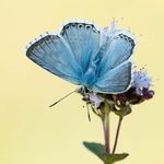 David Haviland - @davidhavilandphoto - Instagram