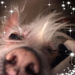 David Haviland - @haviland599 - Instagram