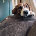 david hazelip - @david_hazelip - Instagram
