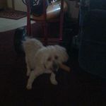 David Hazzard - @hazzard4175 - Instagram