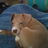 Heavner David - @heavner.david - TikTok
