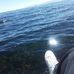 David Heber - Facebook