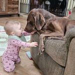 David Heckert - @davidheckert - Instagram