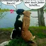 David Heckmann - @heckmann6055 - Instagram
