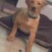 David Heden - Facebook