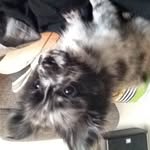 David Hedén - @hedendavid - Instagram