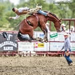 David Wade Hedger - @greatamercowboy - Instagram