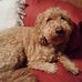 Dave Hedtke - Facebook