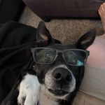 David Heebner - @rockpenguin - Instagram