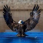 David Heeter - @david.heeter.56 - Instagram