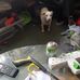 David Heffron - Facebook