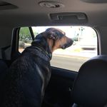 David Hefty - @david.hefty - Instagram
